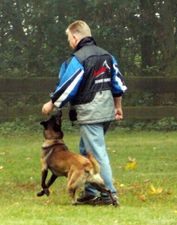 Hundeschule Gerhard Beetz