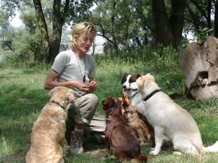 ARTGERECHT Schule für Menschen und Hunde