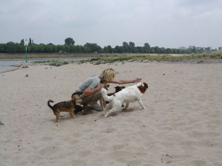 ARTGERECHT Schule für Menschen und Hunde
