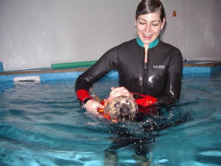 ARTGERECHT Schule für Menschen und Hunde