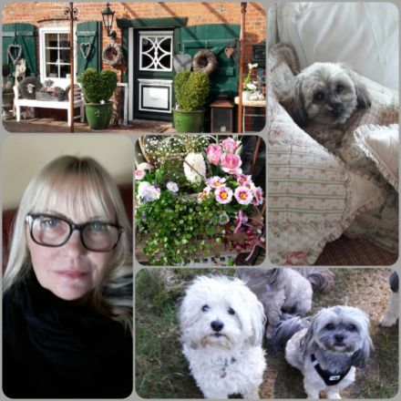 Kleine Landhaus-Hundepension Struvenhütten