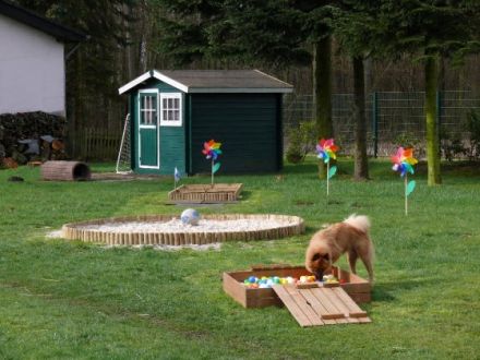 Hundeschule Brandheide