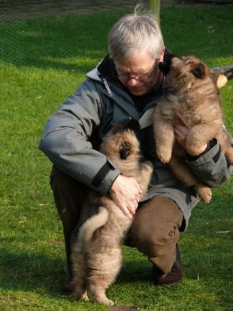 Hundeschule Brandheide