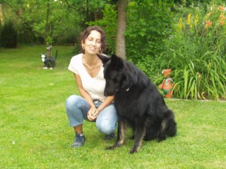 doggynews-Verhaltensberatung & Hundeschule