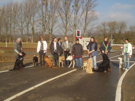 doggynews-Verhaltensberatung & Hundeschule