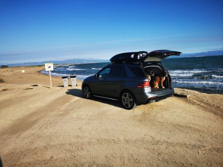 in Riumar" Spanien am 20km Hundestrand