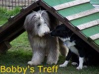Bobby's Treff - Die Hundeschule in Straelen.