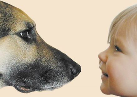 Verhaltensberatung Jörg Ziemer