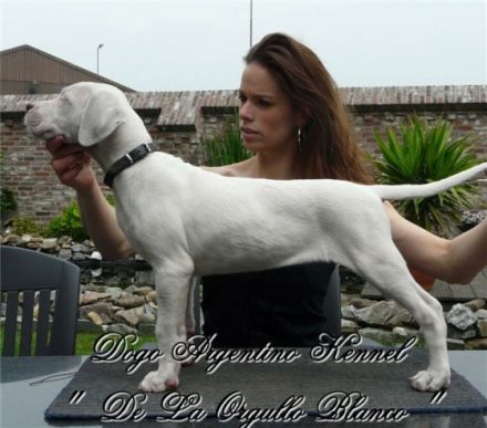 De La Orgullo Blanco