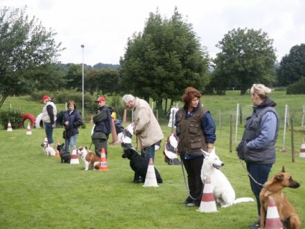 Hunde Club Kelmis