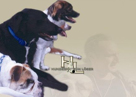 Hundezentrum Löser