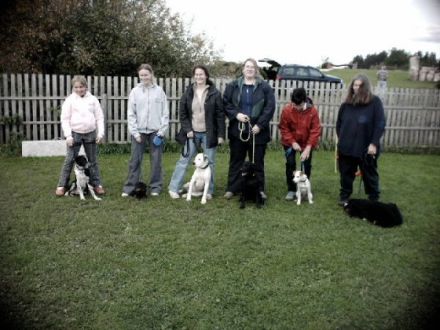 T. & S. unsere Hundeschule-pension