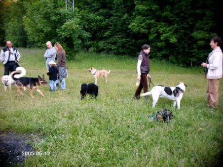 T. & S. unsere Hundeschule-pension