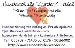 Hundeschule Werder/Havel "Bine´s Welpenspiele"