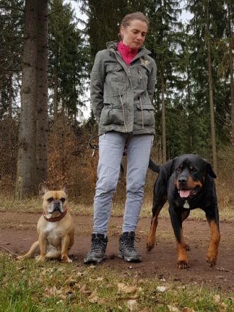 Hundetrainer vor Ort - Kastellaun & Hunsrück