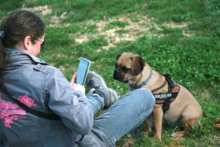 Hundetrainer vor Ort - Kastellaun & Hunsrück