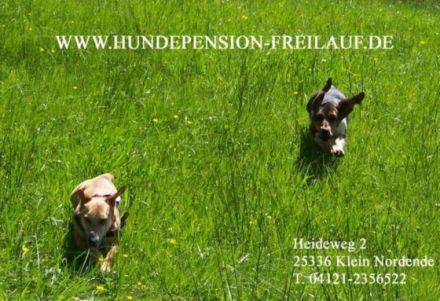 Hundepension FREILAUF
