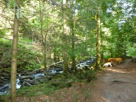 Haus Luigi" am Erlauzwieseler See