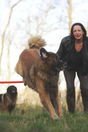 Hundeschule und -pension