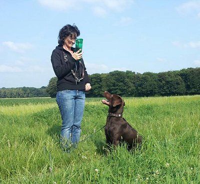 Hounds - Die Hundeschule   Leben & Lernen mit Hund