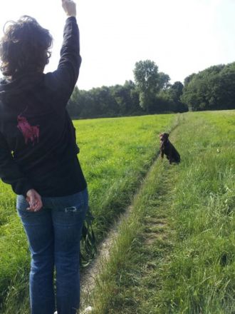 Hounds - Die Hundeschule   Leben & Lernen mit Hund