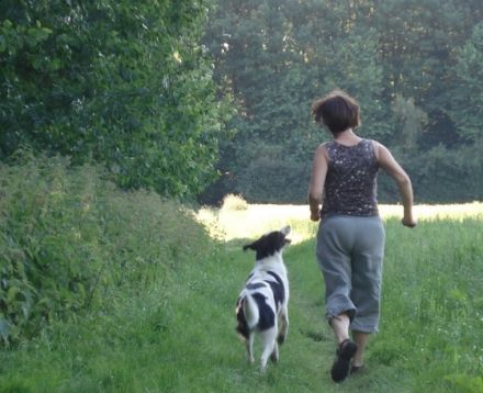 Hounds - Die Hundeschule   Leben & Lernen mit Hund