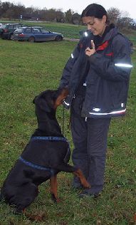 Mein Hund als Partner