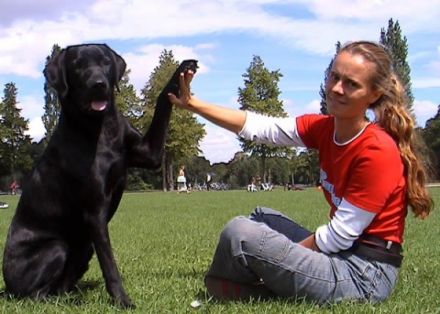 Hundeschule Luckydoggy