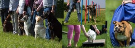 Hundeschule Saus, Eschweiler