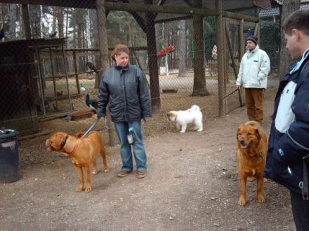 Ausbildung und Beschäftigung mit dem Hund