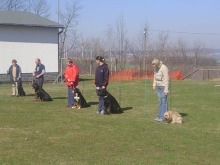 Hundetrainingscenter Hohndorf