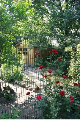 Tieroase Birkenschold