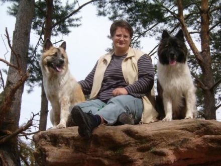 Hundeschule Frankenhoehe