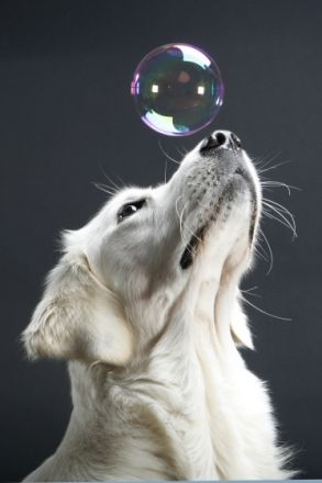 vom Sulzbacher Scheuerberg