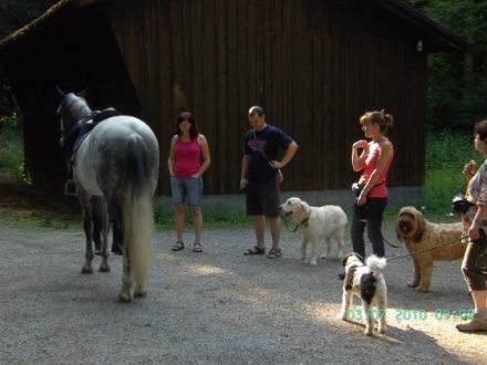 Hunde-Halter-Schule.de