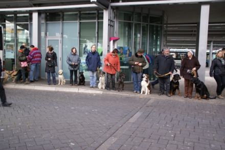 Waldnieler Hundeschule Kubel