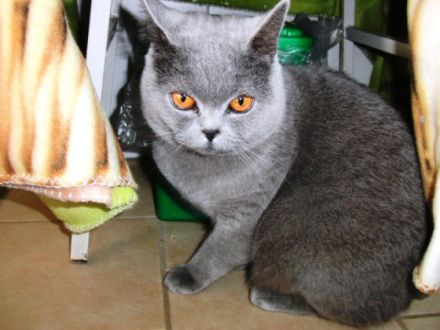 Tierpension Holzminden