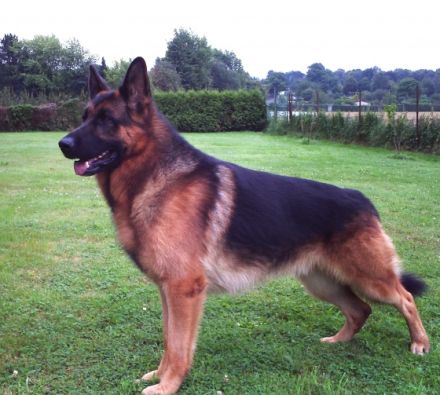 Tierpension Holzminden