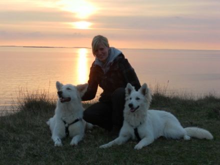 Hundeschule kalte Schnauze