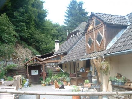 Hundeschule Fockenbachsmühle