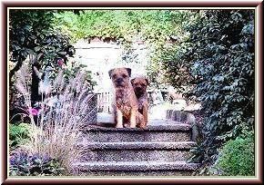 von der Border-Meute