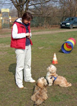 Hundeschule München