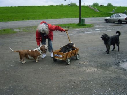 hfu-hundeschule "Pfote-in-Hand"