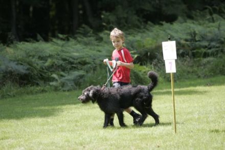 hfu-hundeschule "Pfote-in-Hand"