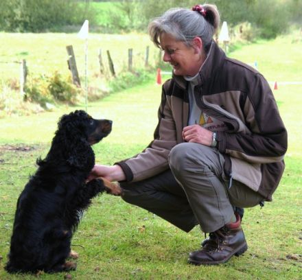 HUNDETREFFPUNKT, die etwas andere Hundeschule