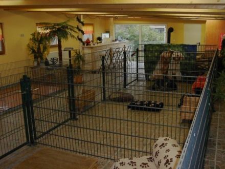 Hundepension Anett