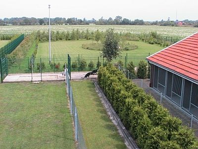 Hundepension Katzenburg