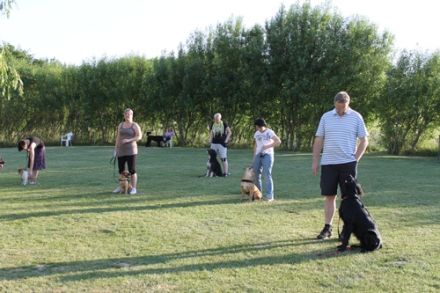 Hundeschule Tierisch Gut