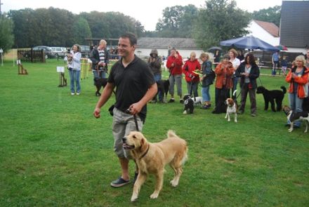 Hundeschule Tierisch Gut