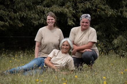 DogsTeam by Vera Schmitz